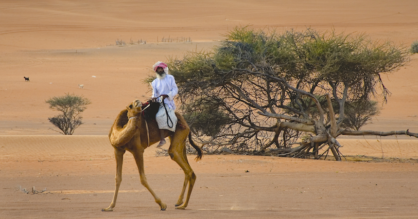 Oman_EliteTravelTourism_Desert_Bedouin_1.jpg