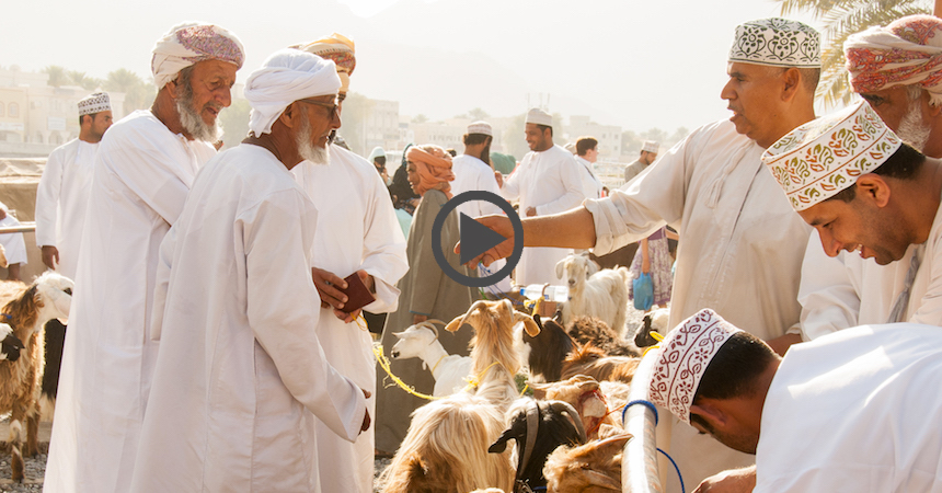 Oman_EliteTravelTourism_playbutton_Friday_AnimalCattleMarket.jpg